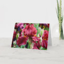 Search for iris flower cards Red
