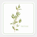 Search for thyme stickers Culinary