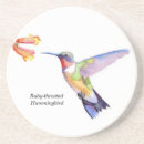 Search for fowl coasters Nature