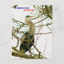 Search for ap postcards Great