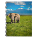 Search for conservation notebooks African elephant