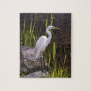 Search for rock music puzzles Animal