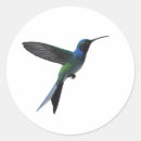 Search for cute hummingbird stickers Wildlife