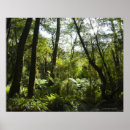 Search for moss posters Nature