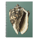 Search for beach shells notebooks Seashell