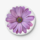 Search for daisy plates Daisies
