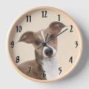 Search for greyhound clocks Fawn