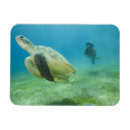 Search for dive deep magnets Scuba