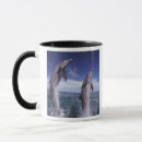 Search for bottlenose dolphin mugs Wildlife