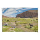 Search for south america pillowcases Bolivia