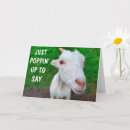 Search for baby get well cards Cute