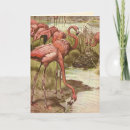 Search for flamingo mothers day cards Birds