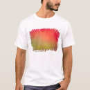 Search for aurora tshirts Astronomy