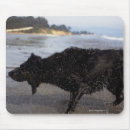 Search for sea side mouse mats Outdoors