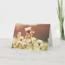 Search for never forgotten cards invites Mourning