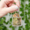 Search for cute lion key rings Animals in the wild