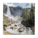 Search for river rock tiles Forest