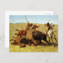 Search for native bison buffalo postcards Hunt