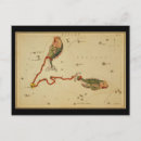 Search for antique constellations postcards Astrological