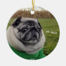 Search for pickle christmas tree decorations Cute