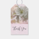 Search for apple tree photography Flower