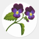 Search for viola stickers Flowers