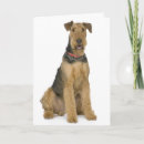 Search for airedale terrier birthday cards Puppies