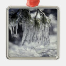 Search for icicle christmas tree decorations Cold