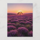 Search for lone tree National park