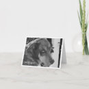 Search for mutt cards White