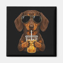 Search for coffee meme magnets Drinking iced