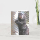 Search for bear hugs cards Bears