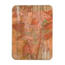 Search for flowered background magnets Contemporary