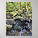 Search for hardy posters Nature