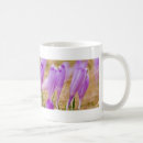 Search for purple crocus mugs Nature