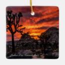 Search for joshua christmas tree decorations National park