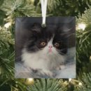 Search for persian cat christmas tree decorations Cute