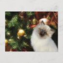 Search for persian cat christmas cards Xmas