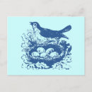 Search for bird eggs postcards Vintage