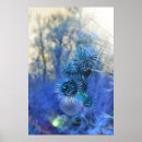 Search for thistle posters Plant