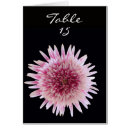 Search for placement table cards Flower