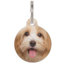 Search for photo pet tags Upload