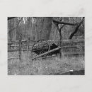 Search for wagon postcards Farm