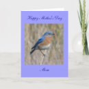 Search for mother in law mothers day cards Bird