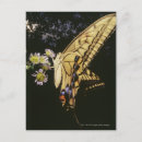 Search for ripple postcards Pattern