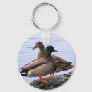 Search for mallard key rings Lake