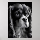 Search for cavaliers posters Pet