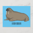 Search for walrus postcards Tusks