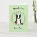 Search for collie birthday cards Pet