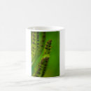 Search for hide your mugs Green